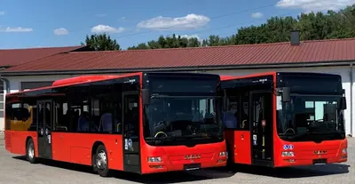 Zalp Transport ,,Zalewski,, Patryk Zalewski Żory sp.z.o.o.